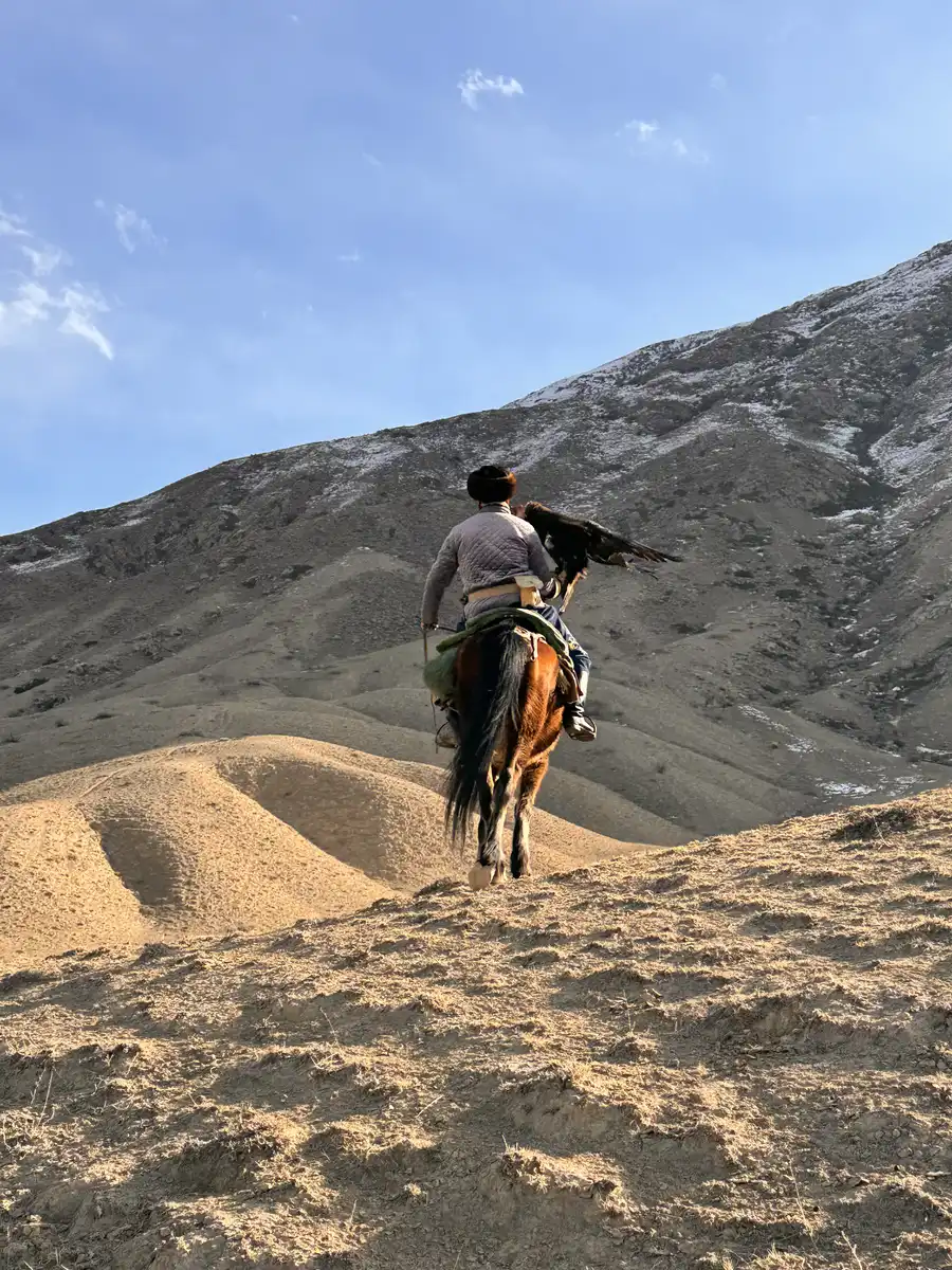Traditional eagle hunter riding a horse with a golden eagle perched on his arm against grey mountain hills